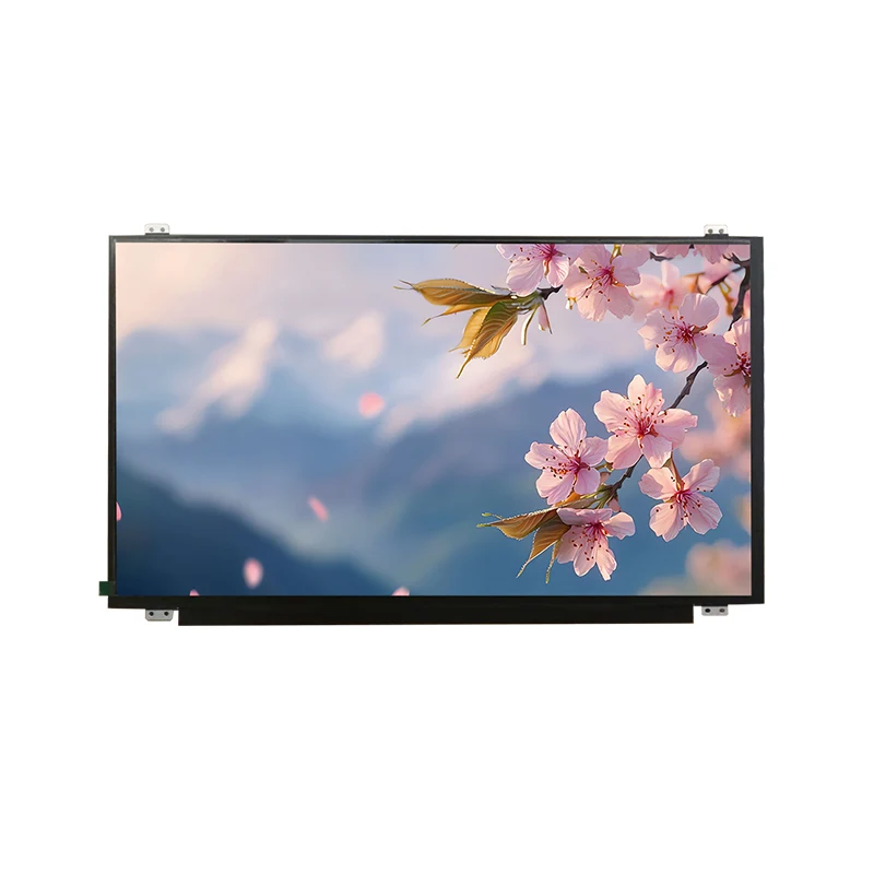 15.6 'HD Wide Temp IPS TFT Módulo de tela LCD