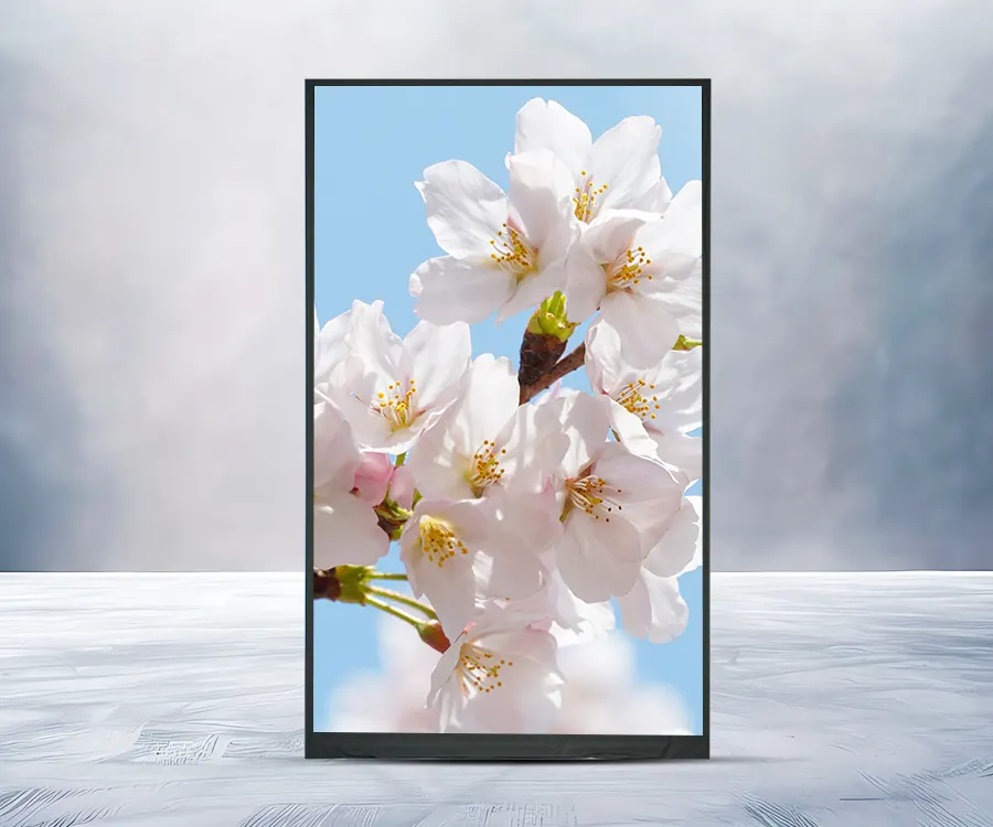 Exibição HD TFT LCD
