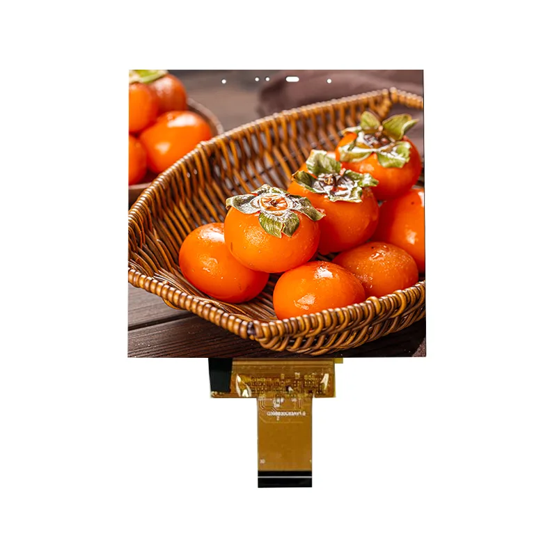 Módulo de tela de toque na célula IPS de tamanho pequeno de 3,95 polegadas para casa inteligente Módulo de tela de toque na célula IPS de tamanho pequeno de 3,95 polegadas para casa inteligente